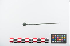 Foto von Kugelkopfnadel (NHMW-PRAE-024171)